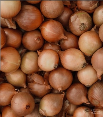 فروش پیاززرد