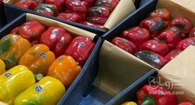 فروش فلفل دلمه ای
