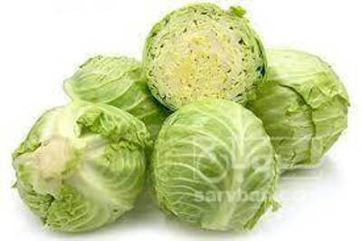 فروش کلم سفید