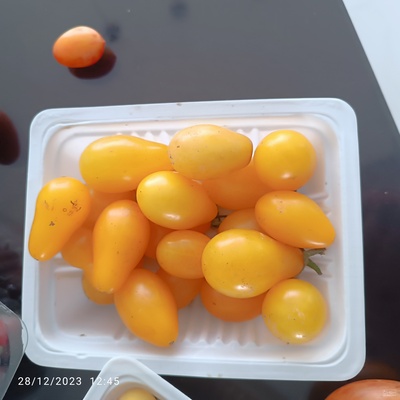 فروش گوجه فرنگی چری