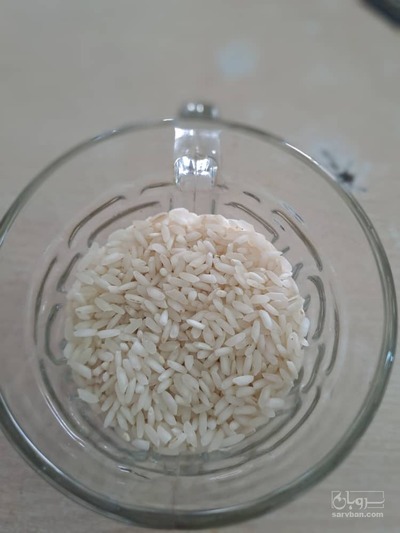 فروش برنج عنبر بو
