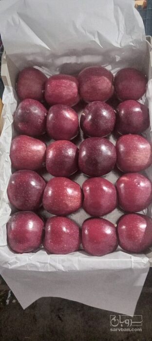 فروش سیب قرمز