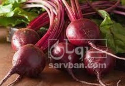 فروش چغندر لبو