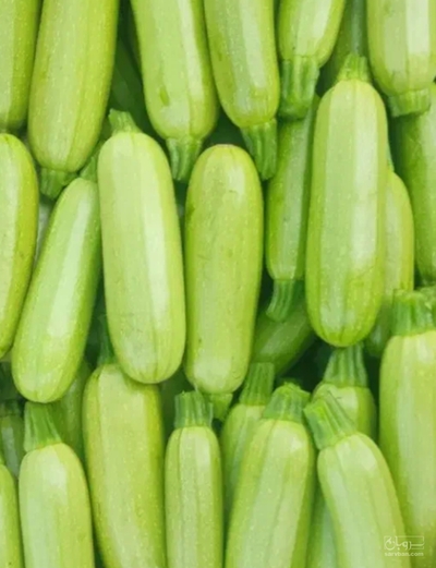 فروش کدو  سبز