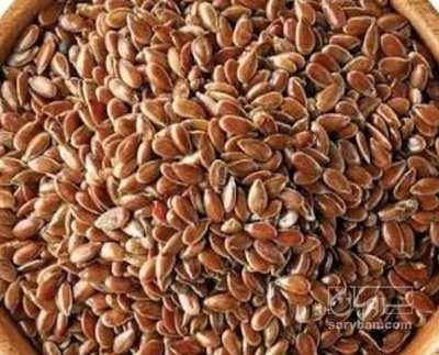 فروش کتان (گیاه الیافی)
