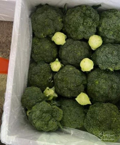 فروش کلم بروکلی