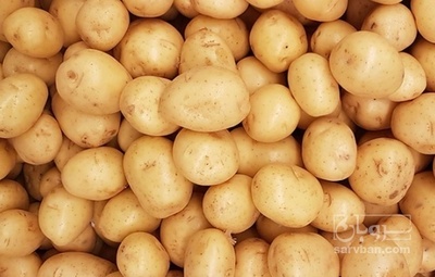 فروش سیب زمینی