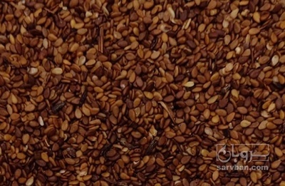 فروش کنجد قهوه ایی