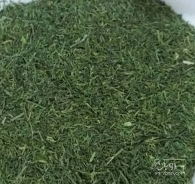 فروش شوید خشک