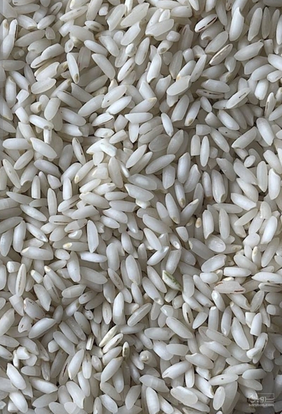 فروش برنج