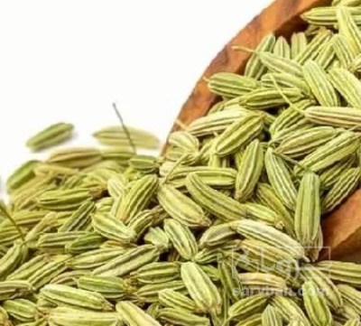 فروش رازیانه (گیاه‌ دارویی)