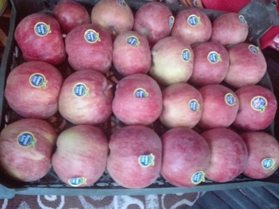 فروش سیب قرمز