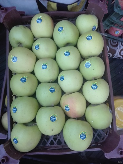 فروش سیب زرد