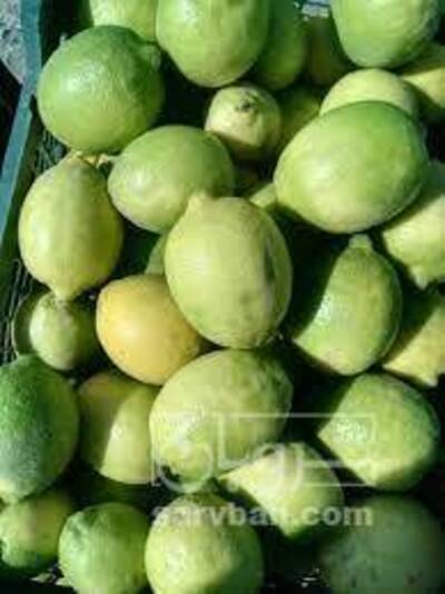 فروش لیمو سنگی