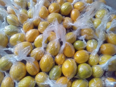 فروش لیمو سنگی