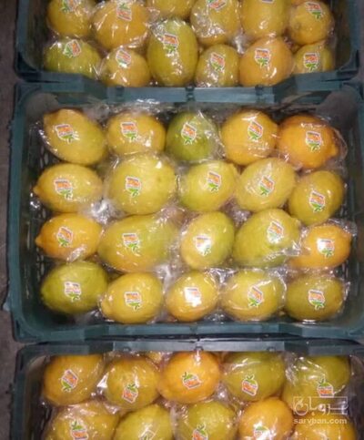 فروش لیمو سنگی