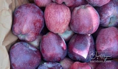 فروش سیب قرمز