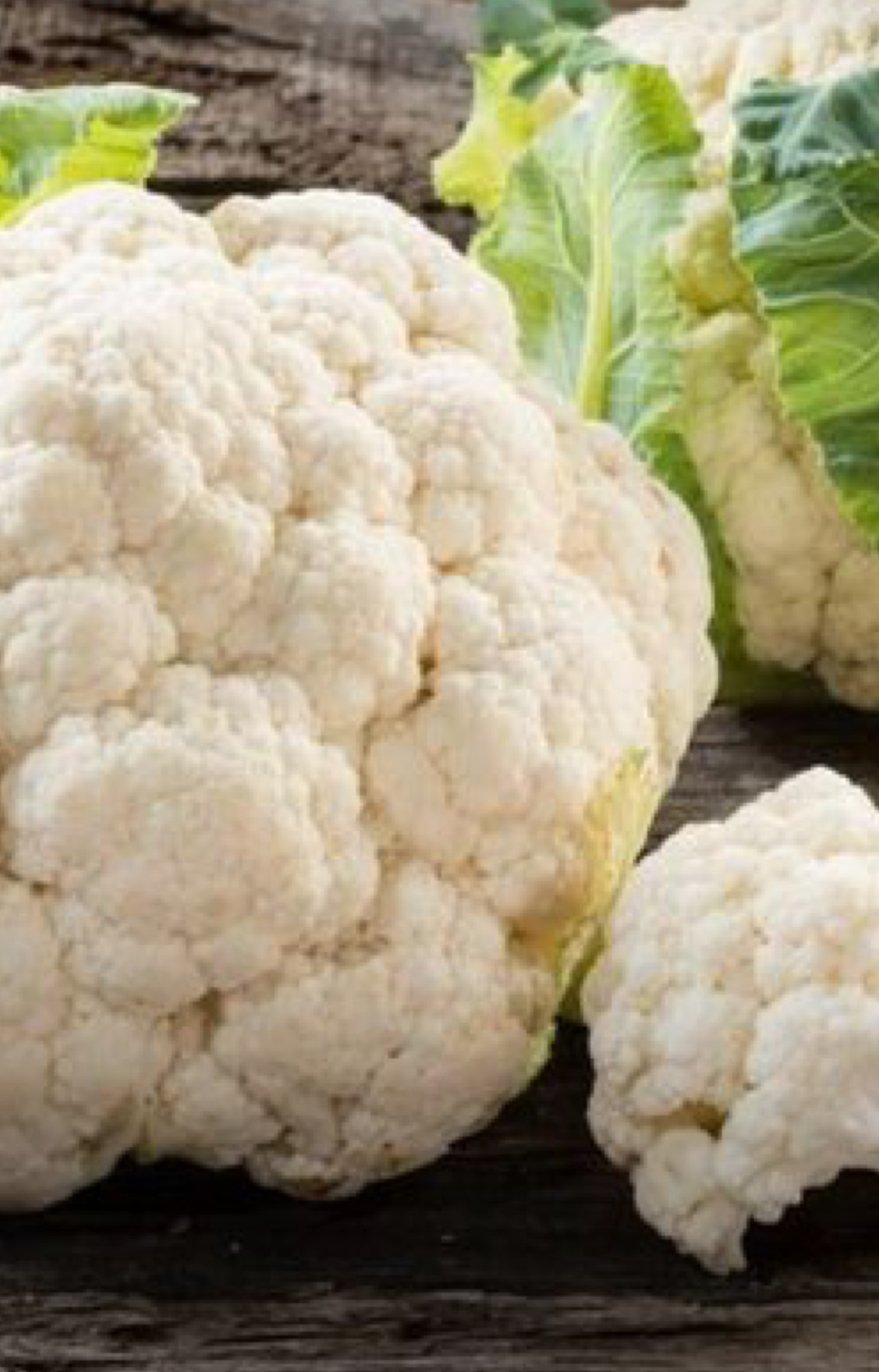 فروش گل کلم