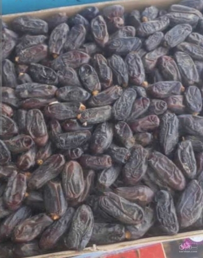 فروش خرما
