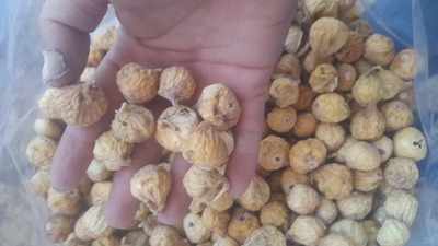 فروش انجیر خشک