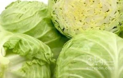 فروش کلم برگی سفید