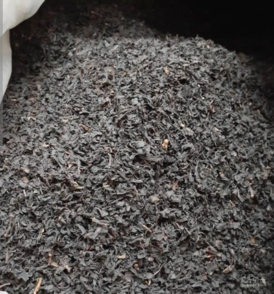 فروش چای سیاه