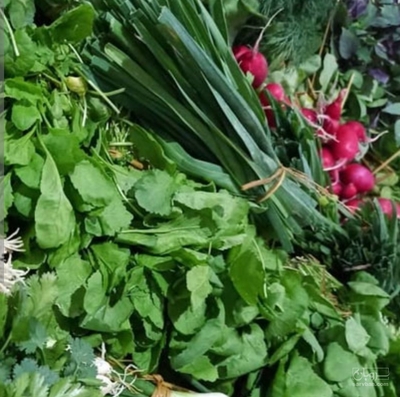 فروش سبزیجات