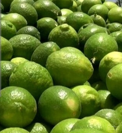 فروش لیموترش