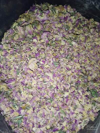 فروش گل محمدی (گیاه‌ دارویی)