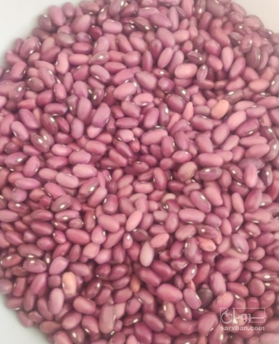 فروش لوبیا قرمز