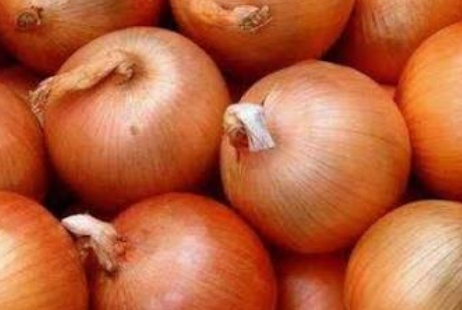 فروش پیاز زرد