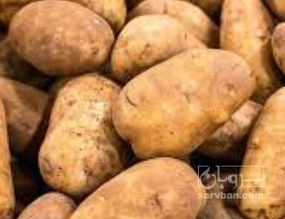 فروش سیب زمینی