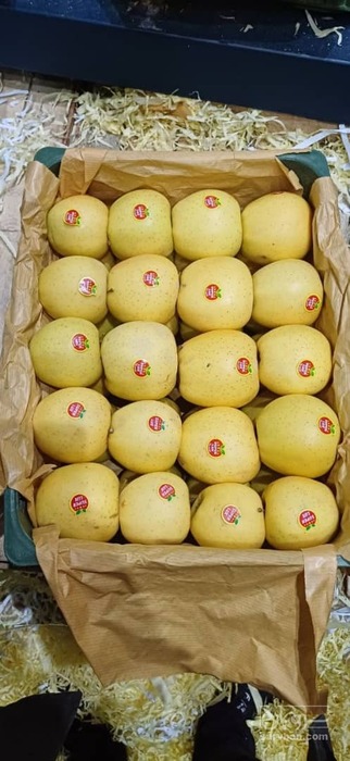 فروش سیب زرد