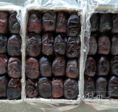 فروش خرما مضافتی