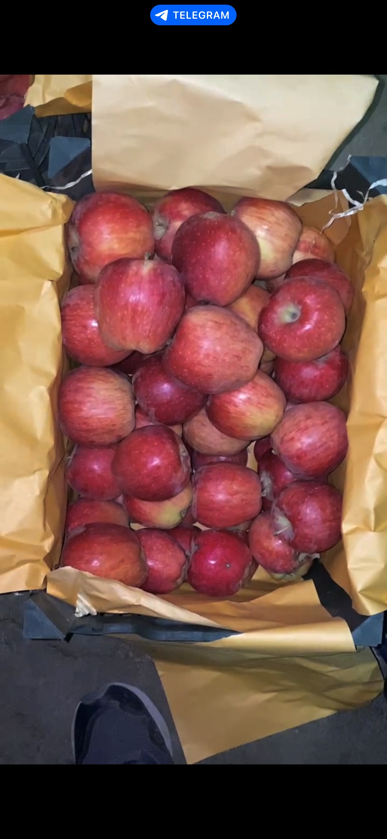 فروش سیب قرمز