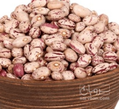 فروش لوبیا چیتی