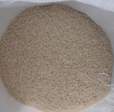 فروش برنج دمسیاه