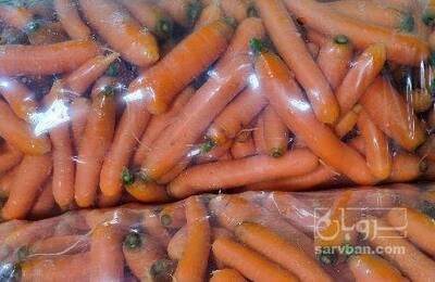 فروش هویج