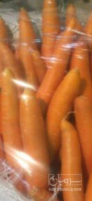 فروش هویج