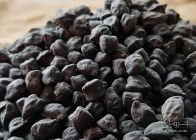 فروش نخود سیاه