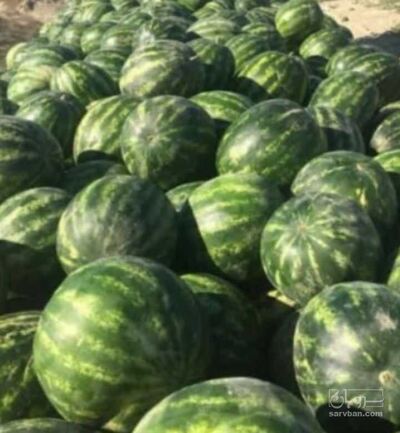 فروش هندوانه