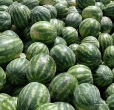 فروش هندوانه