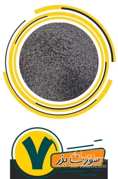 فروش بذر پیاز 6 ماهه روز بلند زرد طلایی اصفهان