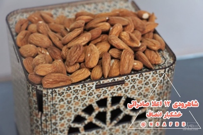 فروش بادام درختی ایرانی به صورت عمده در انواع مختلف