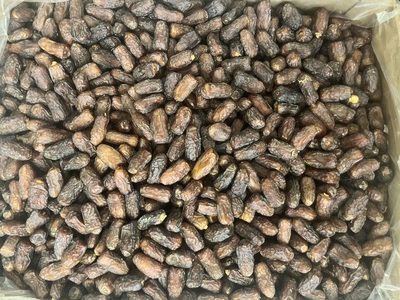 فروش خرما پیارم صادراتی