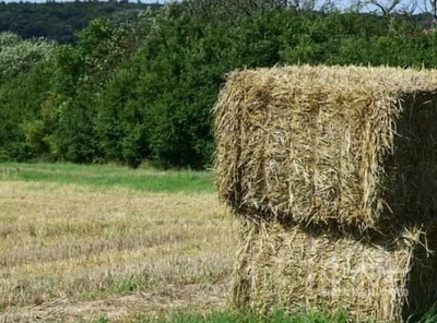 فروش یونجه پرس شده