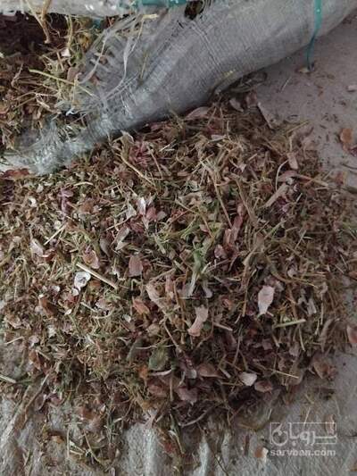 فروش کاه و کلش لوبیا