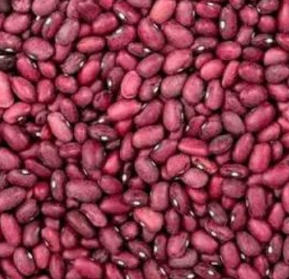 فروش لوبیا قرمز