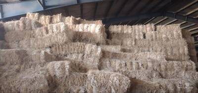 فروش کلش گندم