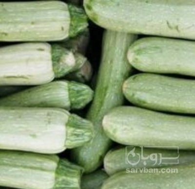 فروش کدو